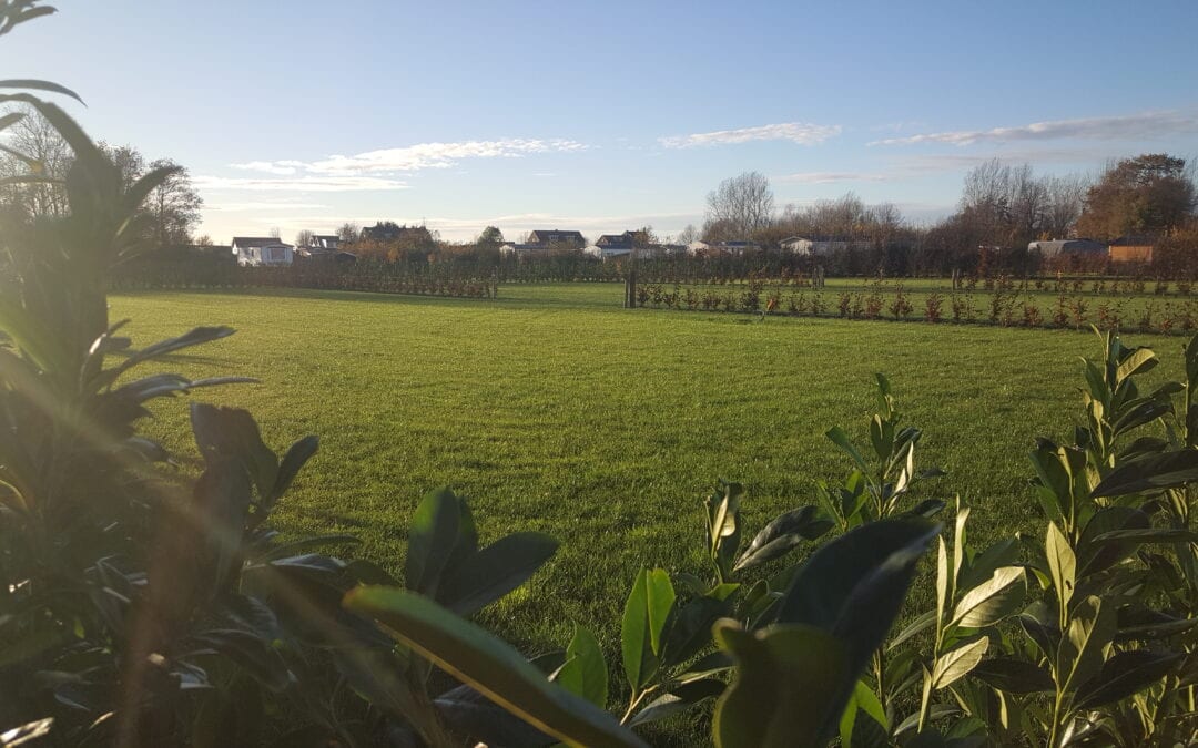 Chaletveld “Het Platteland” is klaar voor het plaatsen van nieuwe chalets.