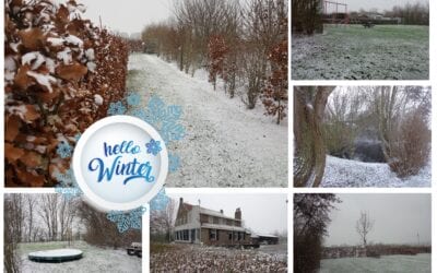 Winterwonderland op Camping De Lage Werf.