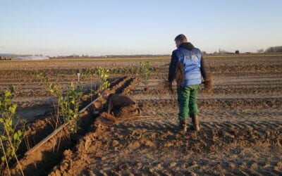 Bouwen aan de toekomst, nieuwe beplanting gezet.