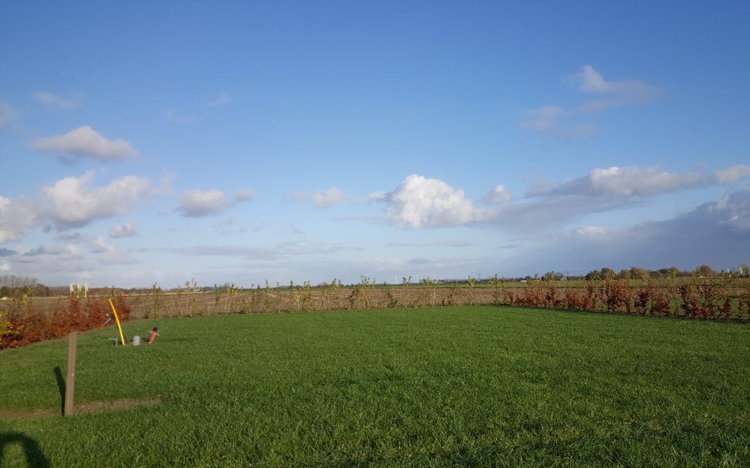 Update aanleg nieuw chaletveld.